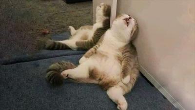 Прикрепленное изображение: photo_2022-09-30_08-00-45.jpg